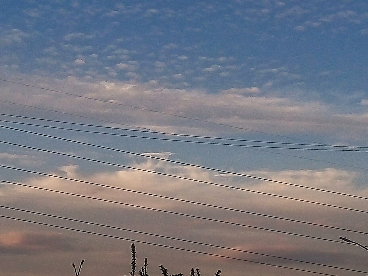 Cirrocumulus, Altocumulus castellanus, and Altocumulus lenticularis.jpg
