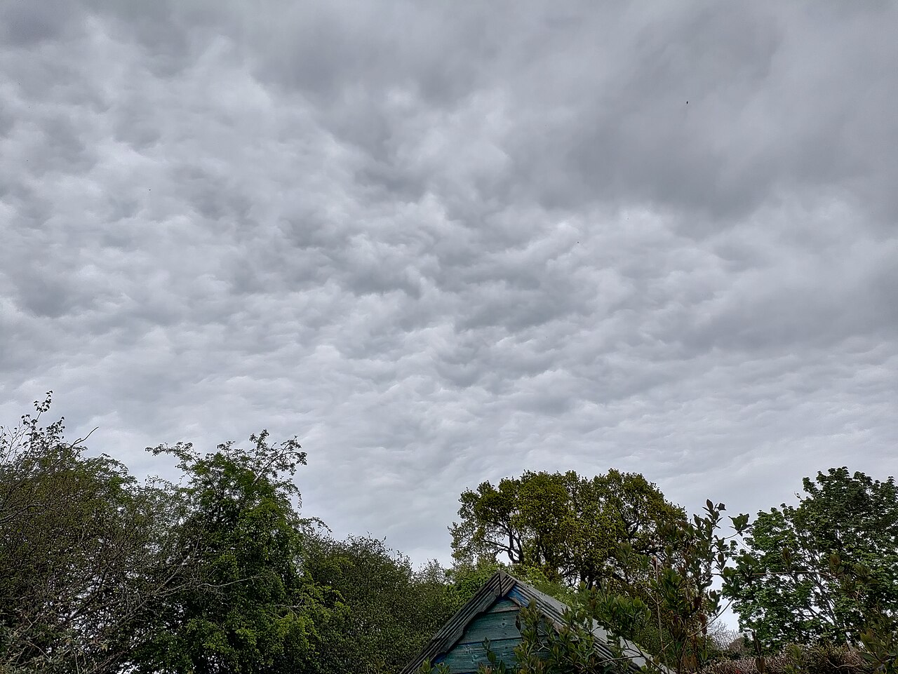 Asperitas Galley Common April 5 2022 01.jpg
