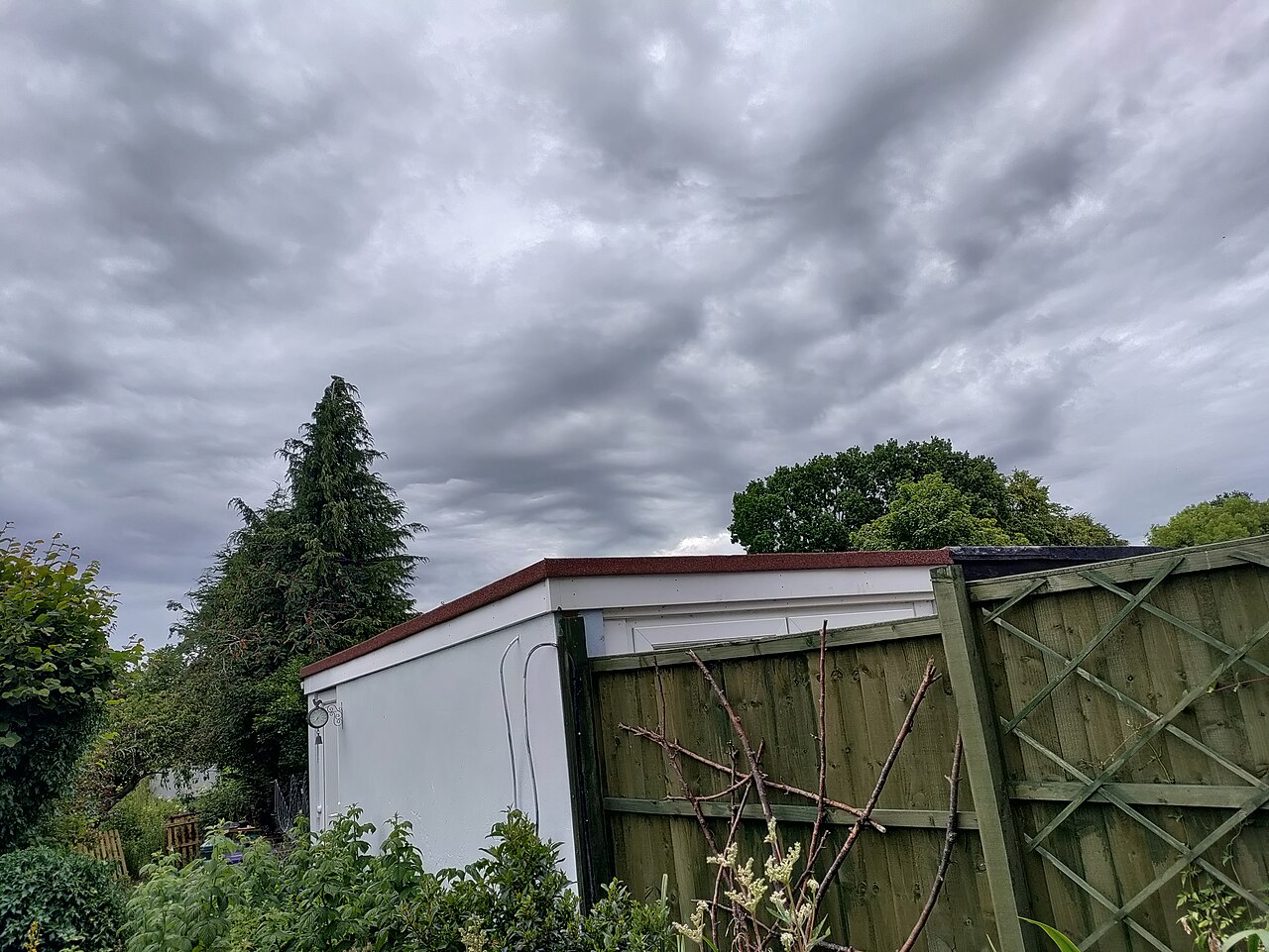 Asperitas Galley Common June 30 2022 03.jpg