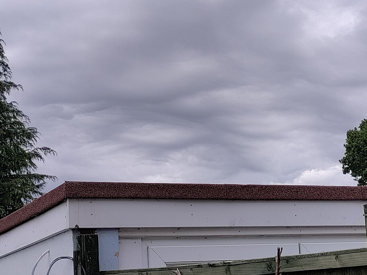 Asperitas Galley Common June 30 2022 01.jpg