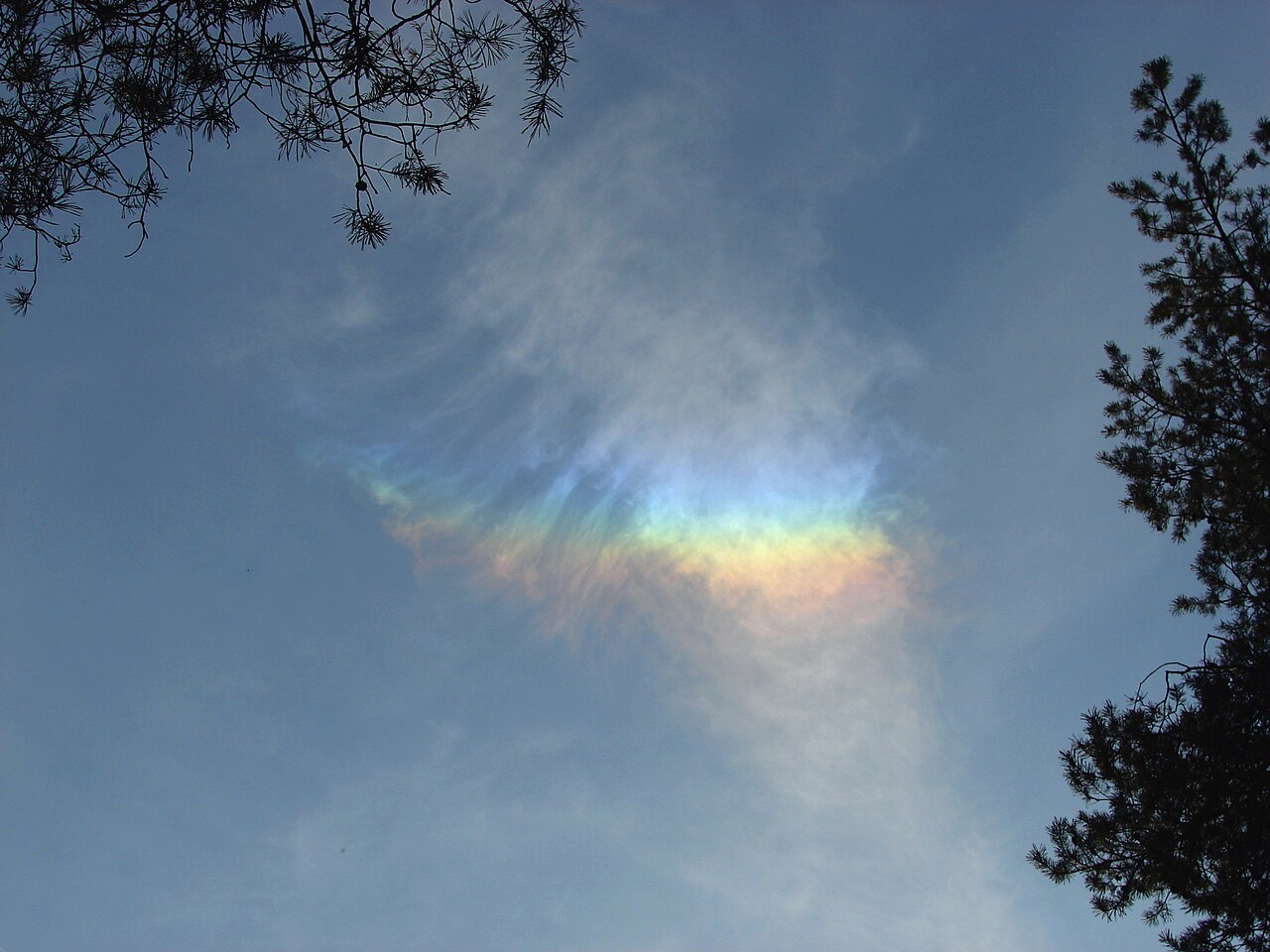Halo in cirrostratus 1.jpg