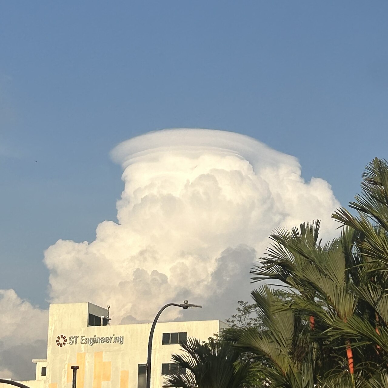 Pileus over ST Engineering.jpg