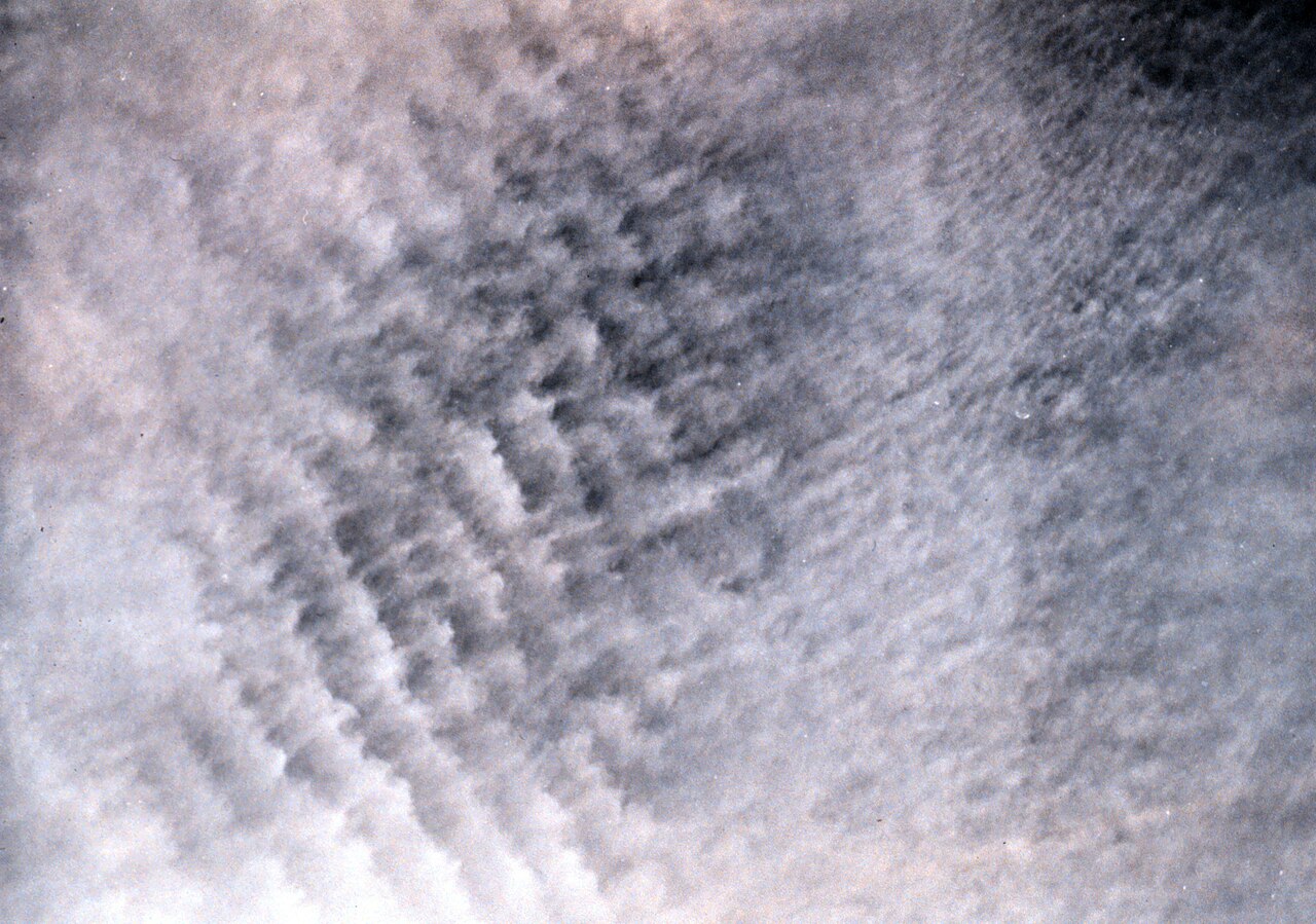 Altocumulus undulatus cloud.jpg