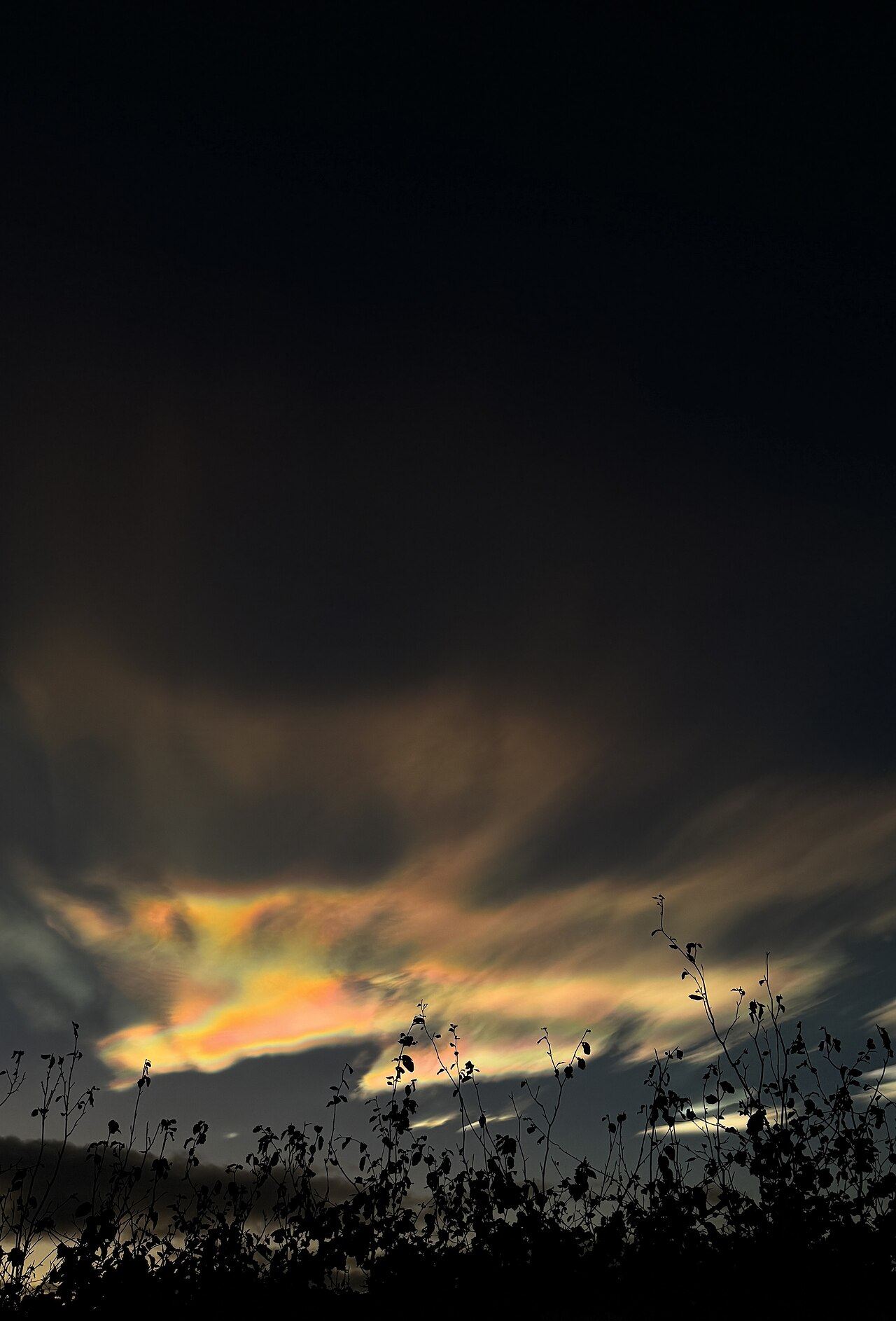 Polar stratospheric cloud.jpg