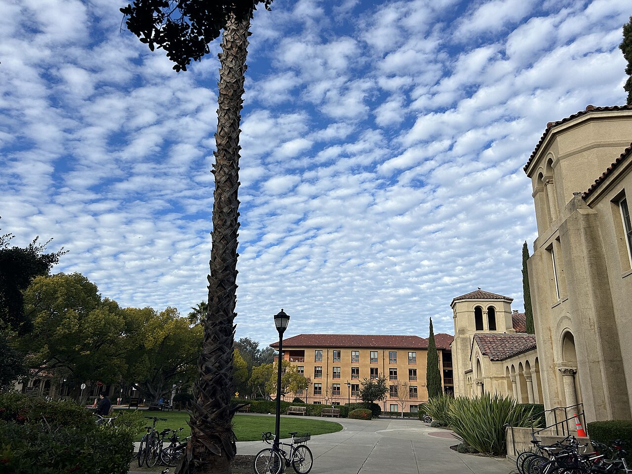 Cirrocumulus Clouds at Stanford University.jpg