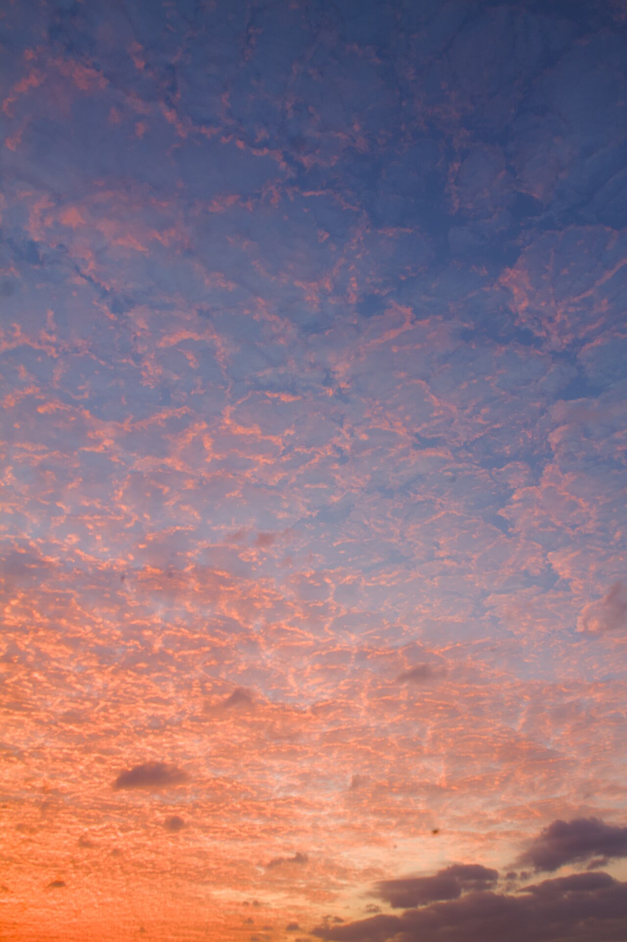 Awan Sirus Pagi 05-07-2024.jpg