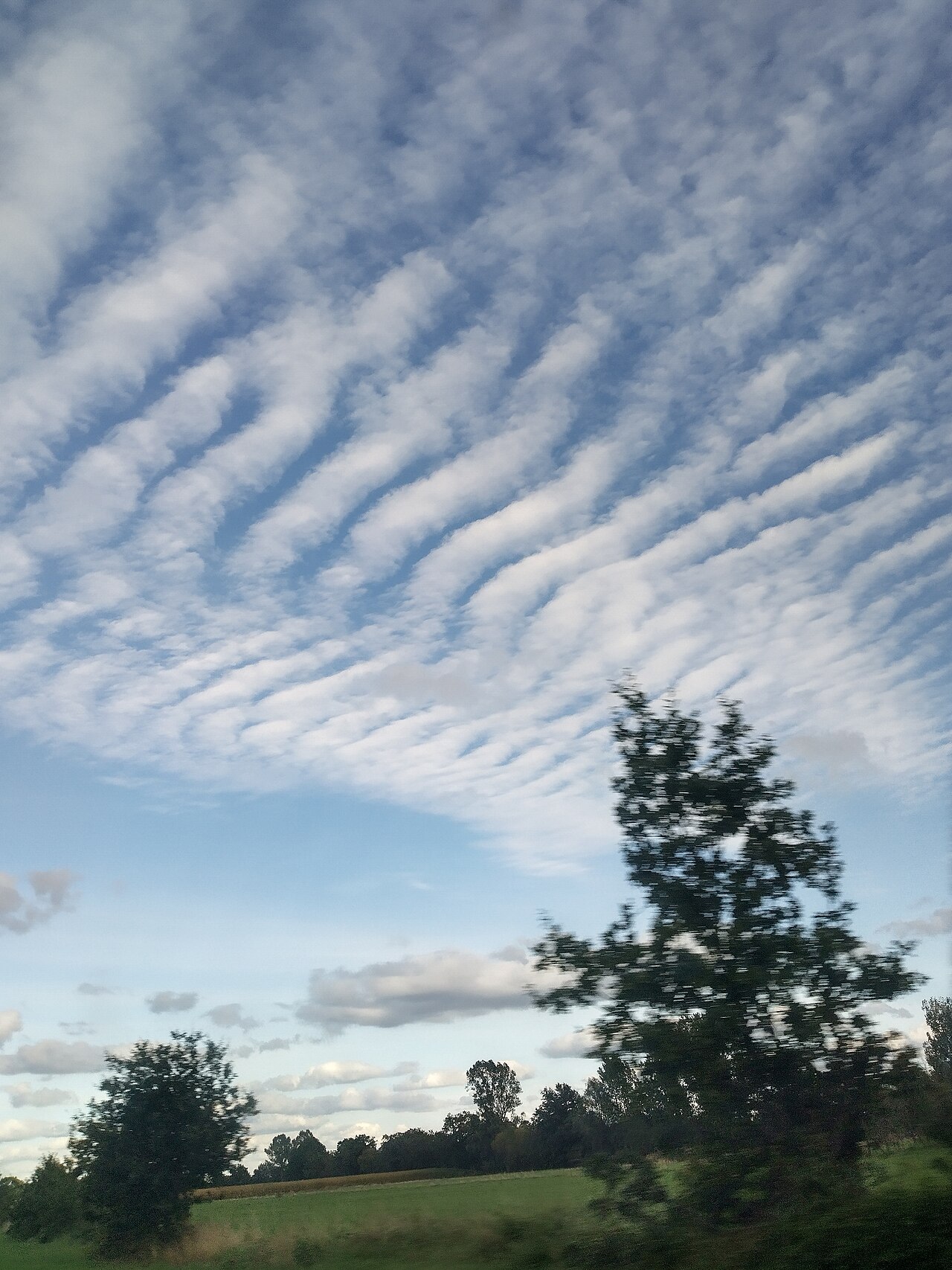 Altocumulus undulatus cloud2.jpg