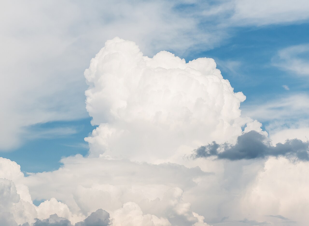 2016 Chmura Cumulus congestus 01.jpg