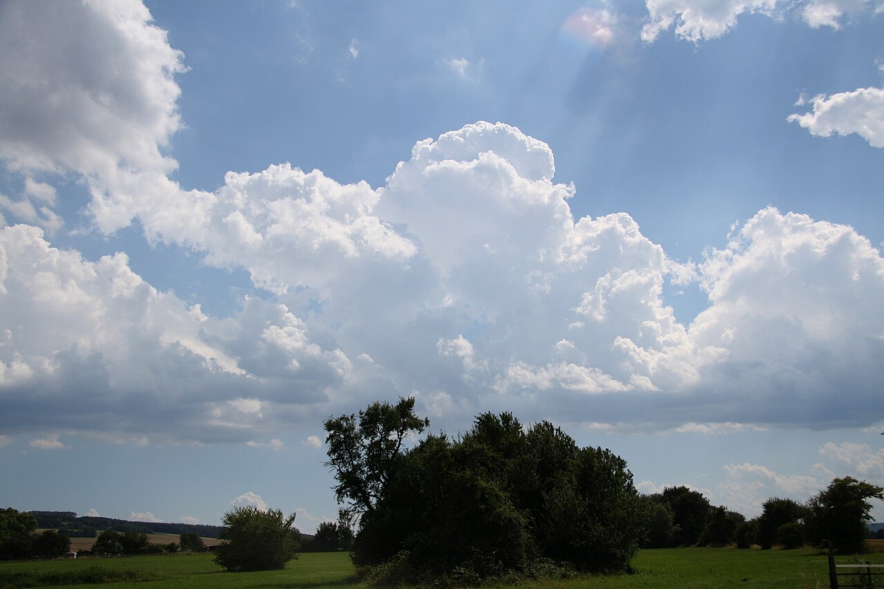 Cumulus congestus bei Limburg.jpg