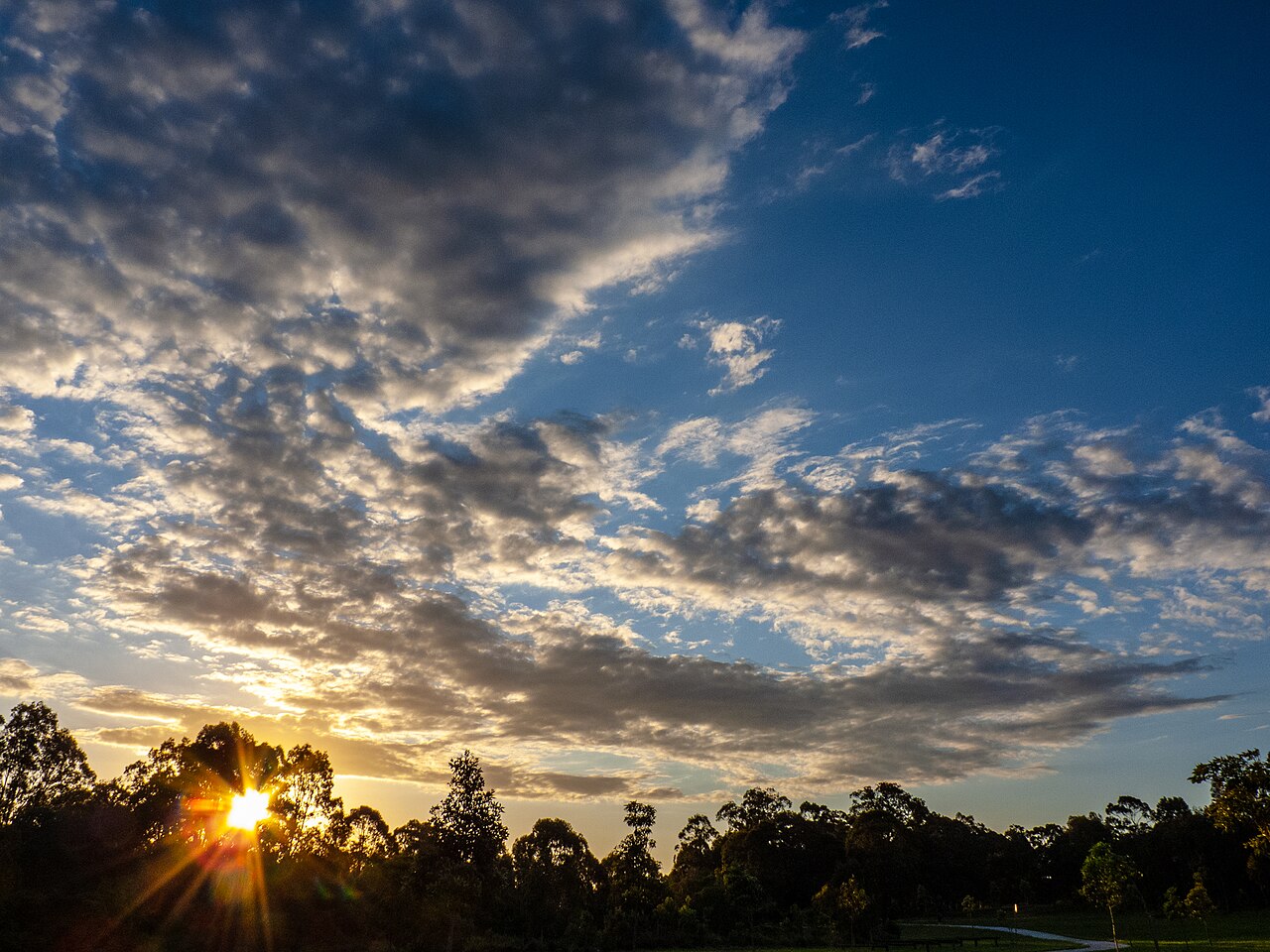 Stratus at sunset 7th Brigade Park Chermside P1060451.jpg