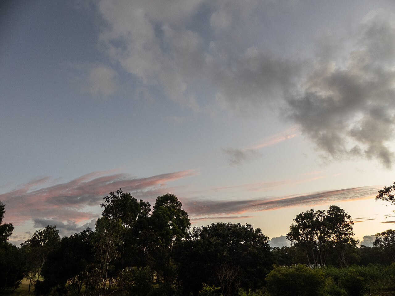 Altostratus at sunrise 7th Brigade Park Chermside P1080043.jpg