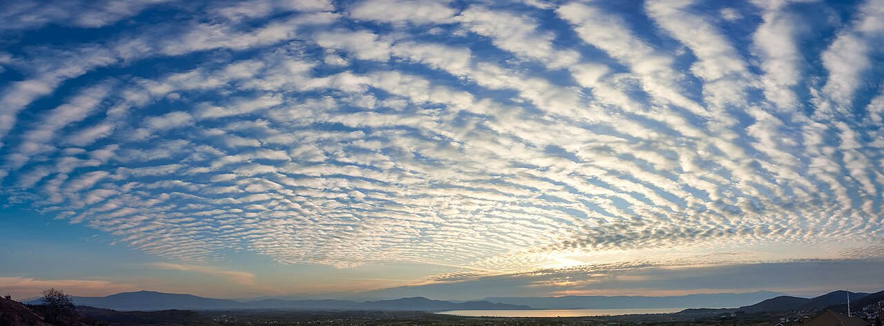 Altostratus undulatus cloud 01.jpg