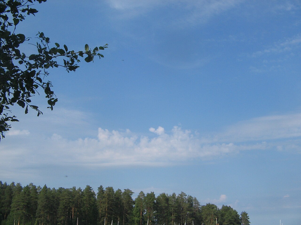 Altocumulus castellanus break 2.JPG