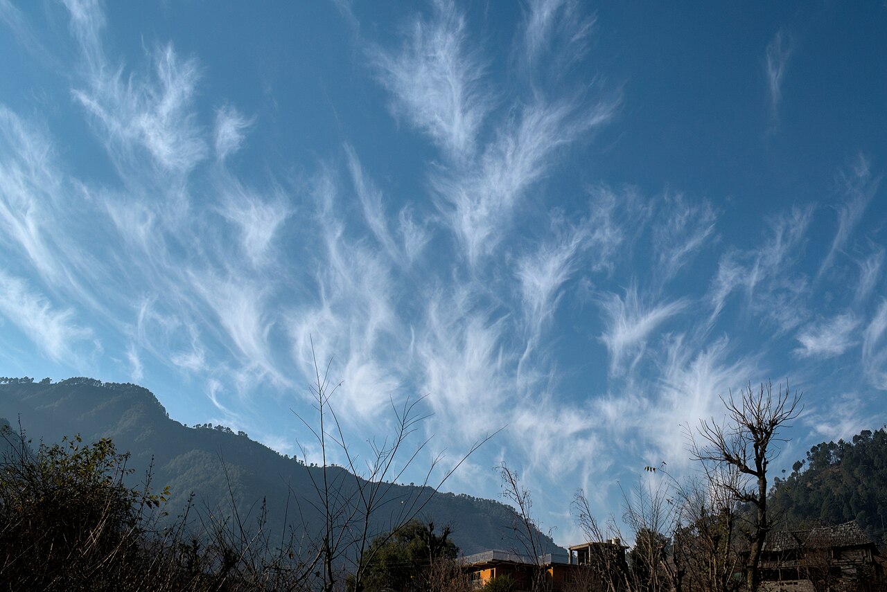 Cirrus uncinus clouds in the morning sky.jpg